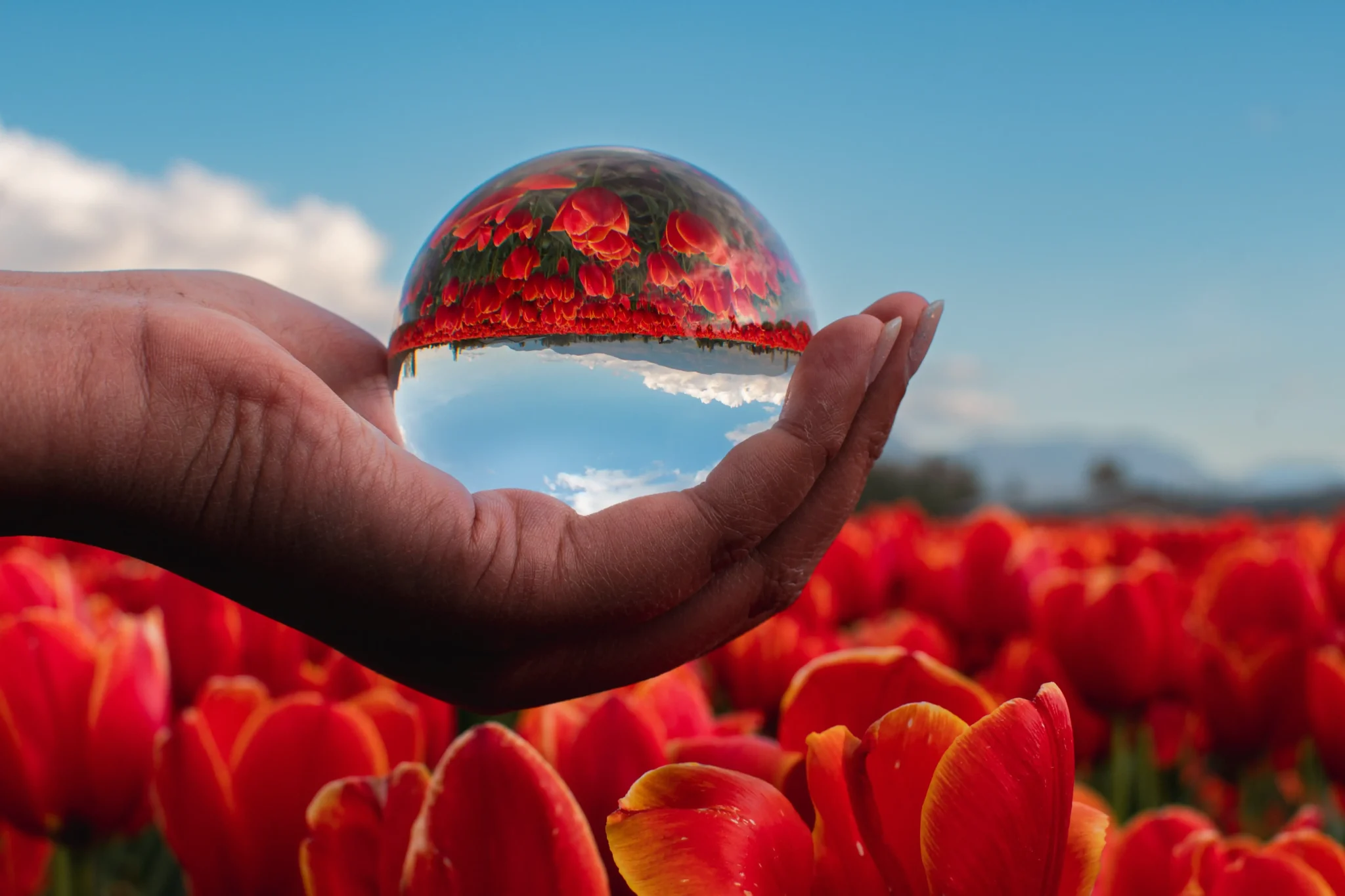 Perspective - Rachel Boucher
